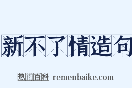新不了情造句是什么意思的图片